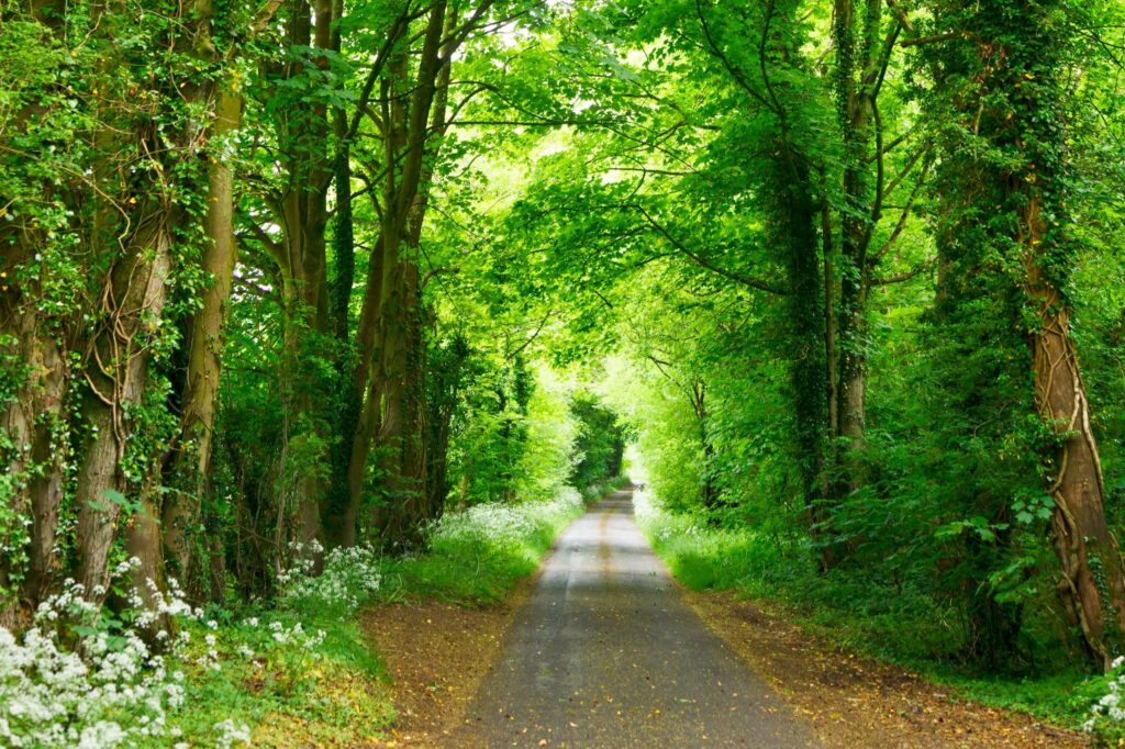 studio dekorasyon vngzm4P2BTs unsplash