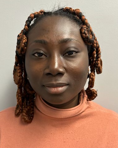 yemisi